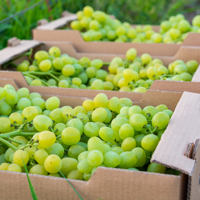 Grapes Green (10kg Bulk Box)