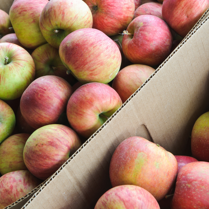 Apple Bulk Box (12kg)