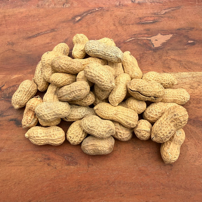Roasted Unsalted Peanuts in Shell - bag