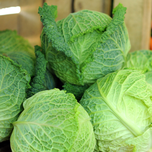 Cabbage - Red (Half)