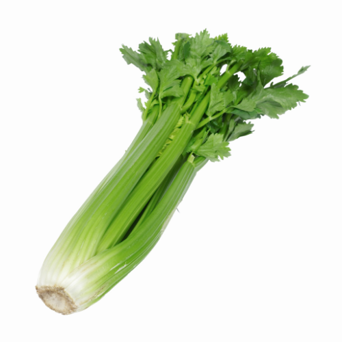 Organic Celery (bunch)