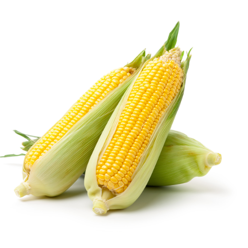 Corn (Each)