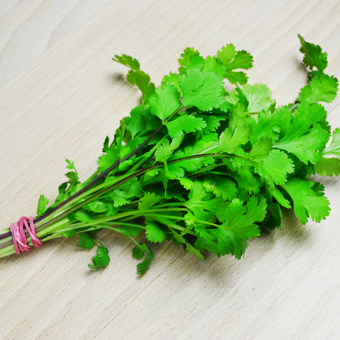 Coriander (bunch)