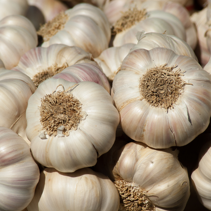 Homegrown Garlic (1kg)