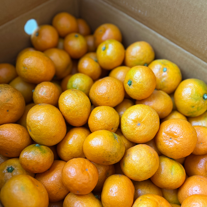 Mandarin Bulk Box (10kg)