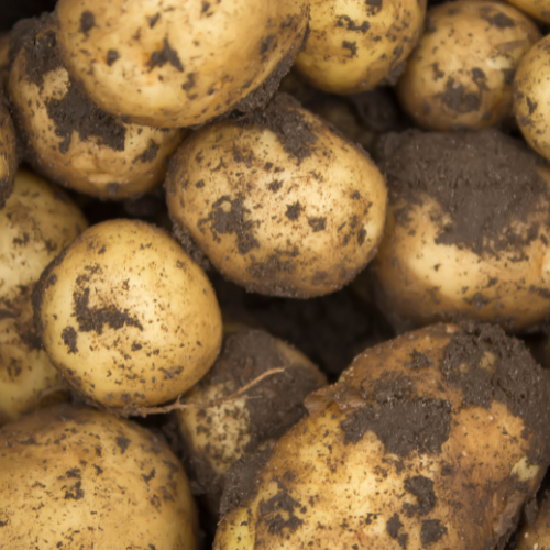 Potatoes - Sebago (1kg)