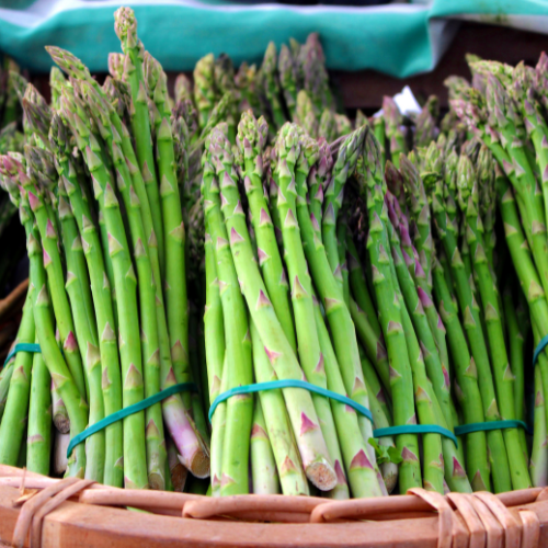 Asparagus (Bunch)