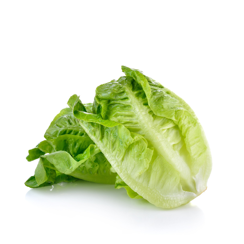 Baby Cos Lettuce (Each)