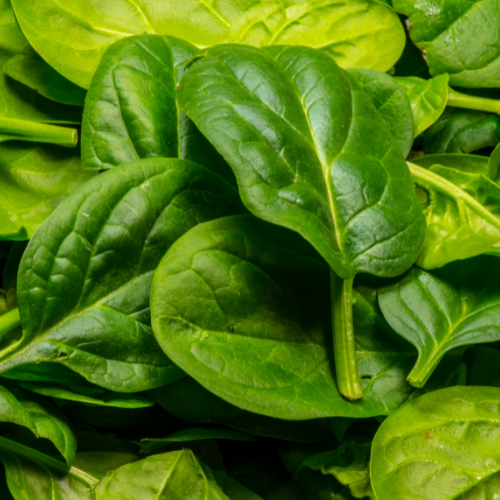 Baby Spinach (180g)