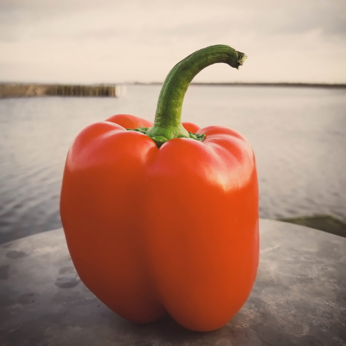 Capsicum Red Large (1kg)