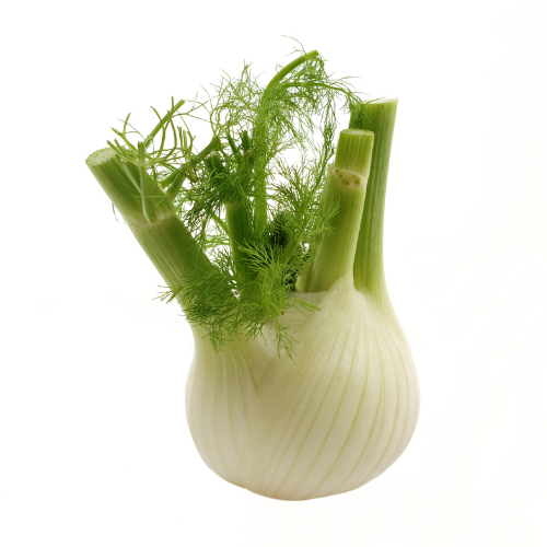 Fennel (Each)