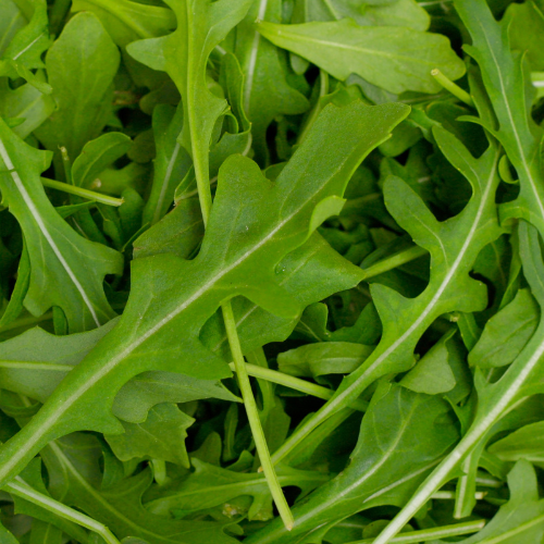 Rocket (180g)